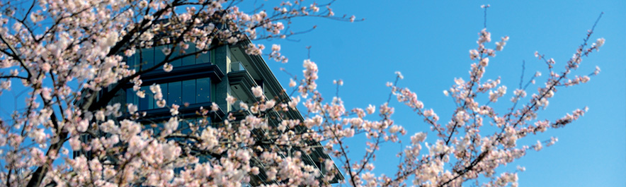 一生もの＂と言える証。