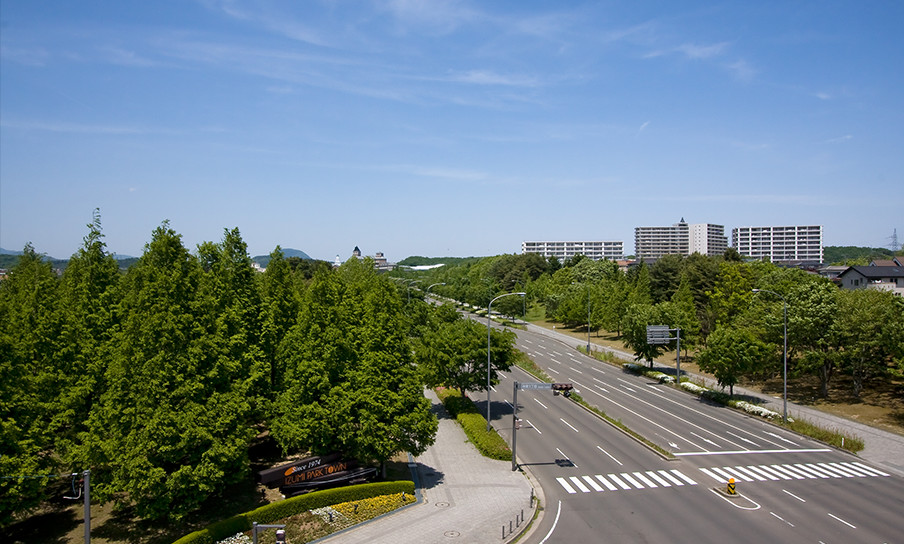 幅40mのメインストリートの両脇にはそれぞれ幅40mの緑地帯