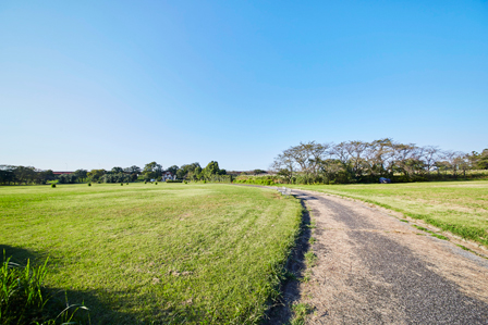 約15.9haもの広大さを誇るさくら草公園
