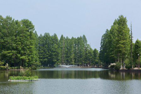 別所沼公園