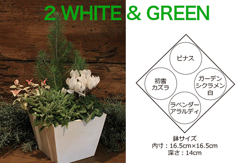 冬でも楽しめるシックな寄せ植え 大人らしい白と緑をテーマカラーに 三菱地所のレジデンスクラブ 公式