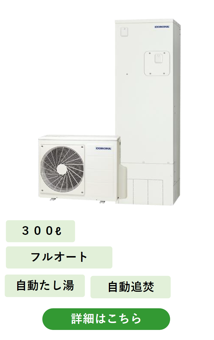 31.png
